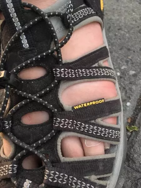 Picdump 509 - #41 