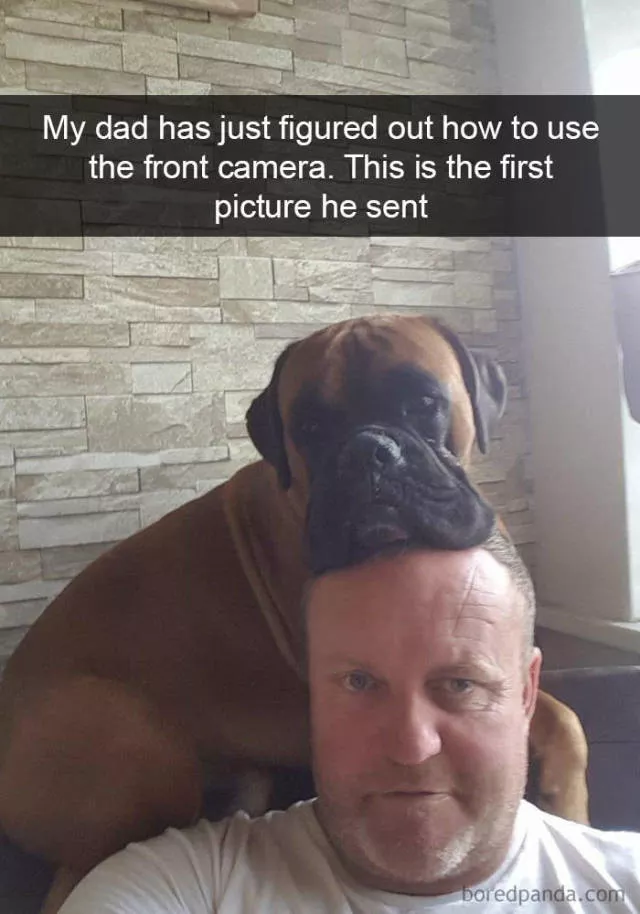 Dogs in snapchat - #12 