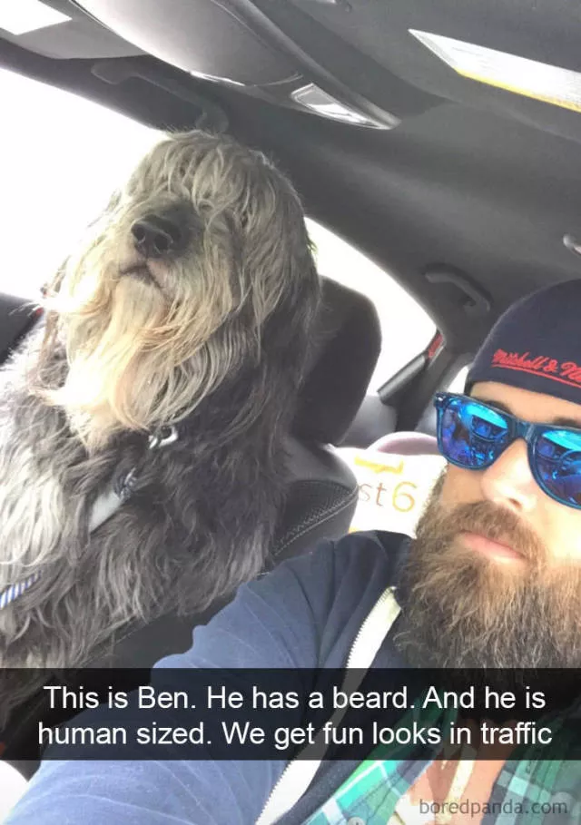 Chiens dans snapchat - #21 