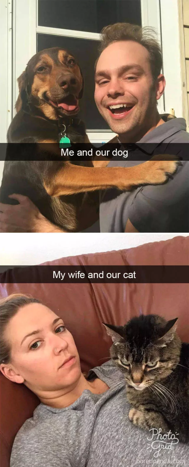 Dogs in snapchat - #24 