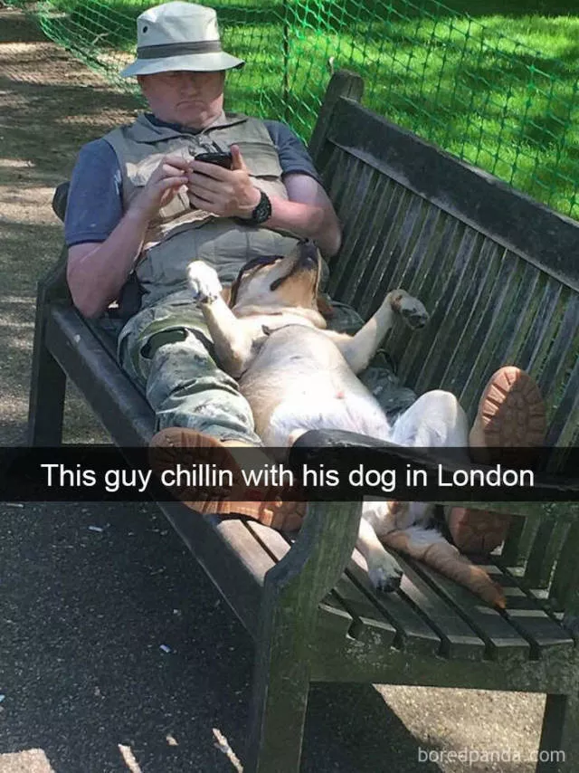 Dogs in snapchat - #5 