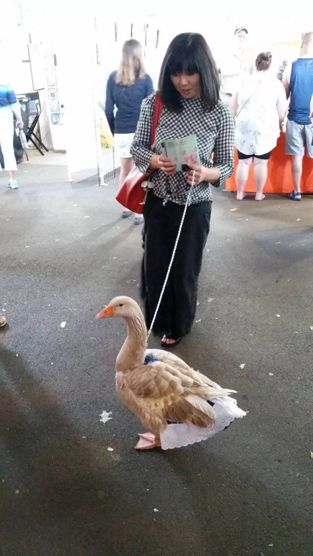 Picdump 510 - #34 