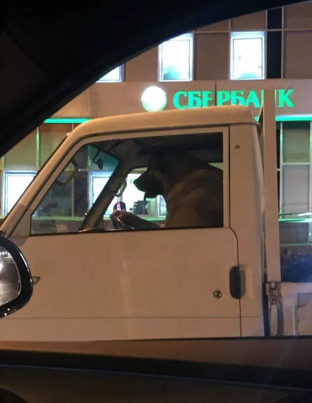 Picdump 510 - #41 