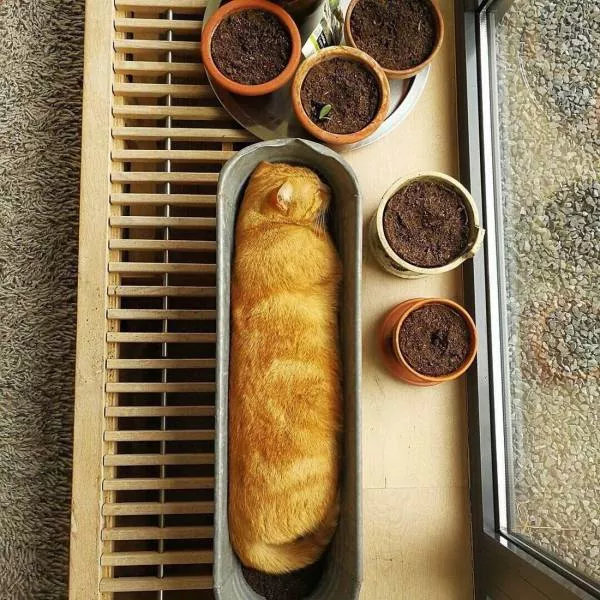 Picdump 510 - #50 