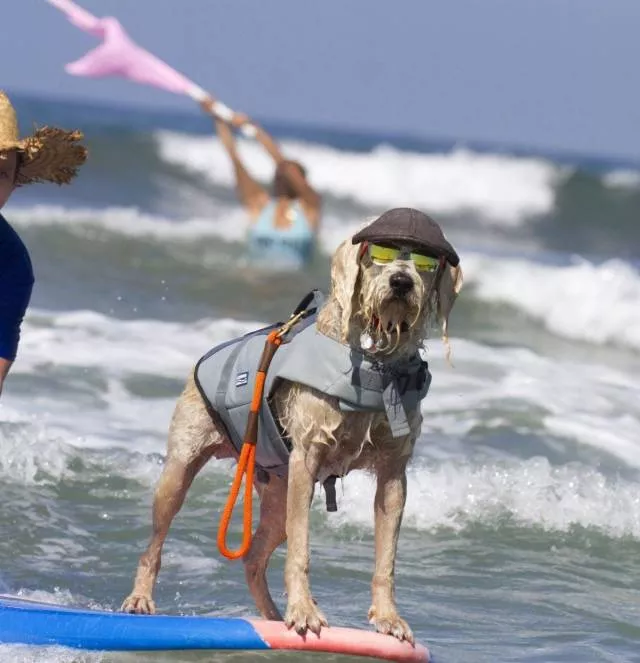 Picdump 510 - #61 