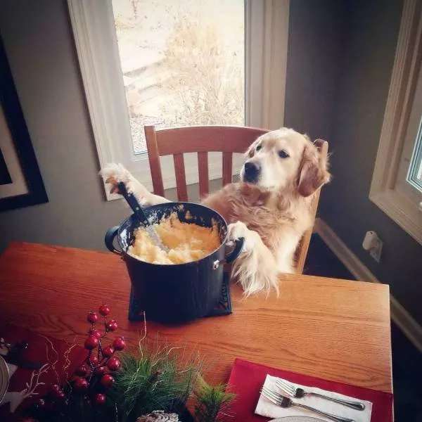 Picdump 510 - #79 