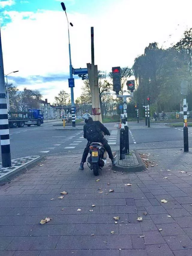 Picdump 510