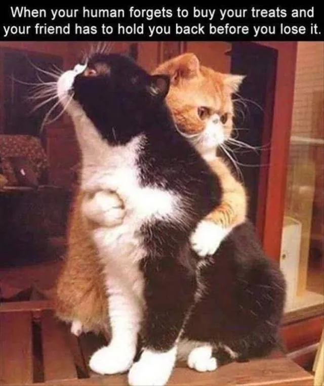 Picdump 511 - #51 