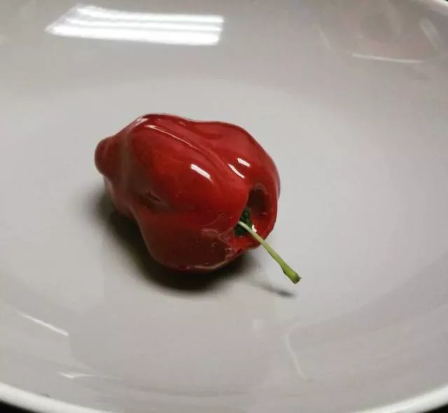 Des desserts pas comme les autres - #12 