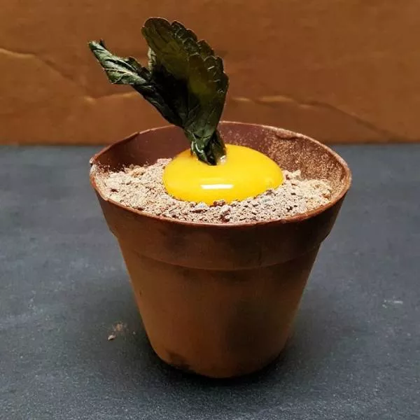 Des desserts pas comme les autres - #26 