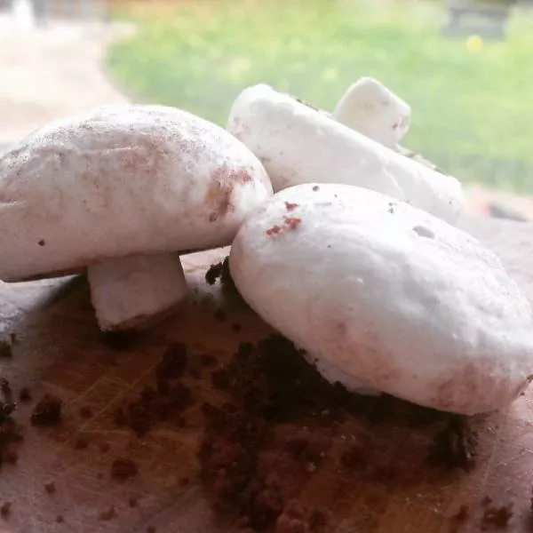 Des desserts pas comme les autres - #4 
