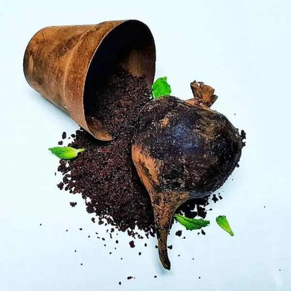 Des desserts pas comme les autres - #6 