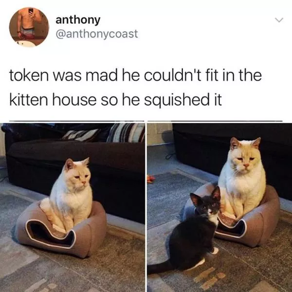 Not to see - #4 