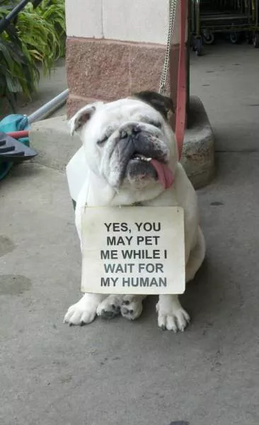 Picdump 513 - #4 