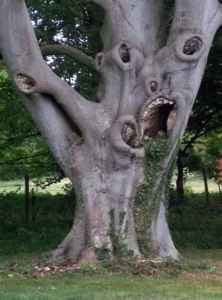 The monsters of nature - #14 