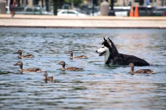 Picdump 514 - #11 