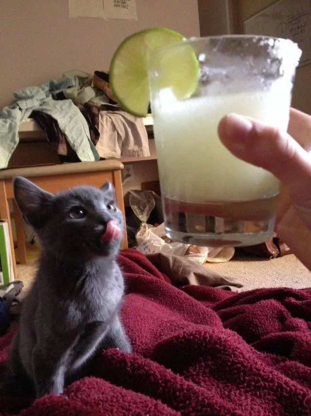 Picdump 514 - #17 