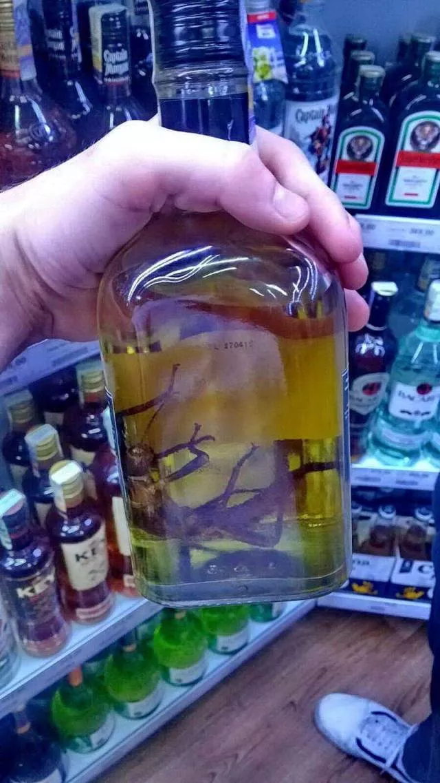 Picdump 514 - #28 