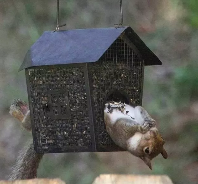 Picdump 514 - #44 