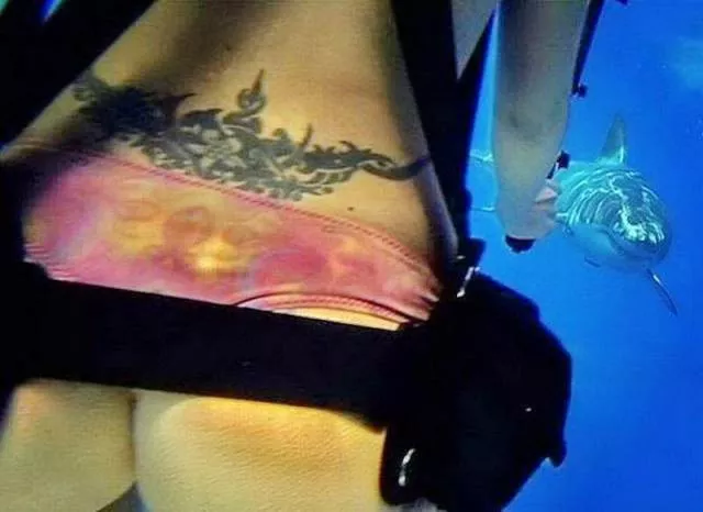 Picdump 514 - #45 