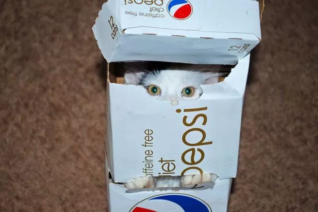 Picdump 514 - #48 