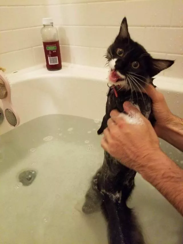 Picdump 514 - #51 