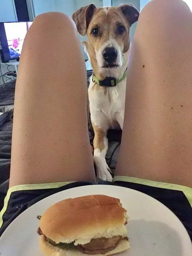 Picdump 514 - #72 