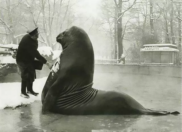 Picdump 514 - #78 