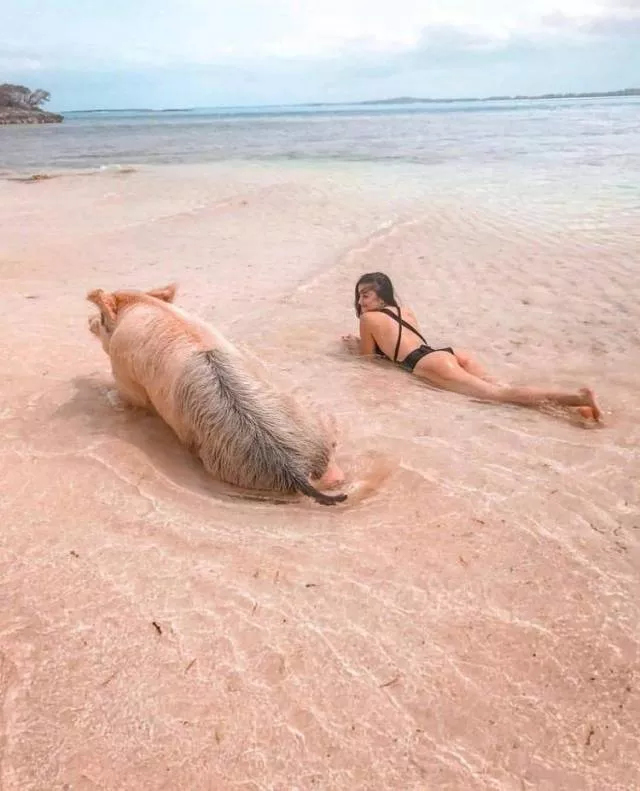 Picdump 514 - #79 