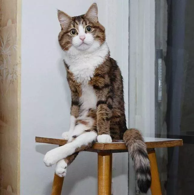 Picdump 514 - #90 Picdump 514 - #90
