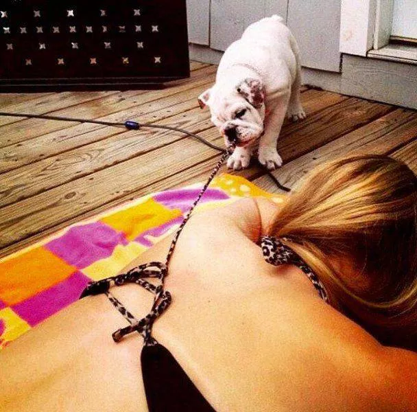 Picdump 88 - #14 