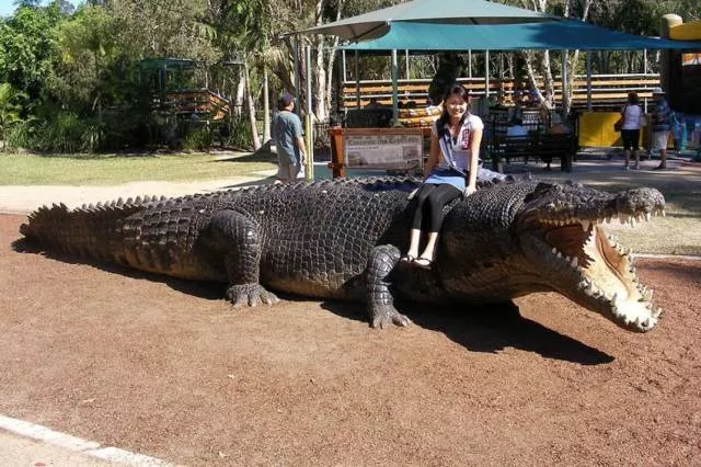 Picdump 88 - #20 