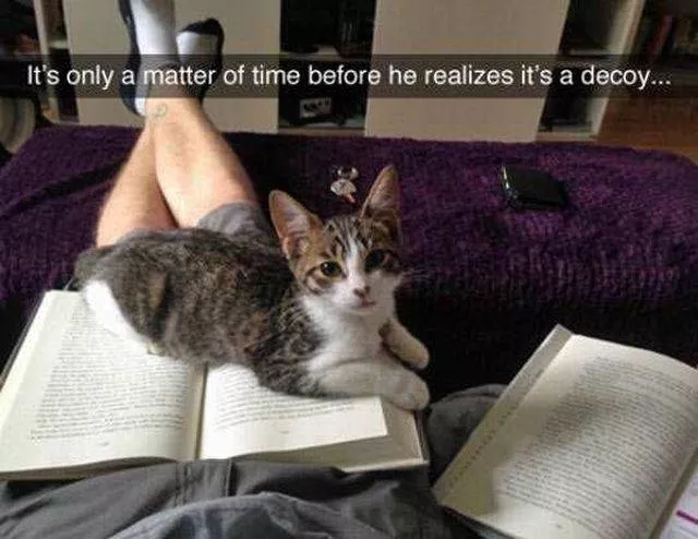 Picdump 88 - #21 