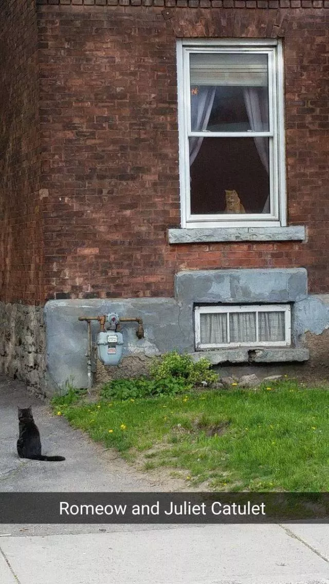 Picdump 88 - #28 