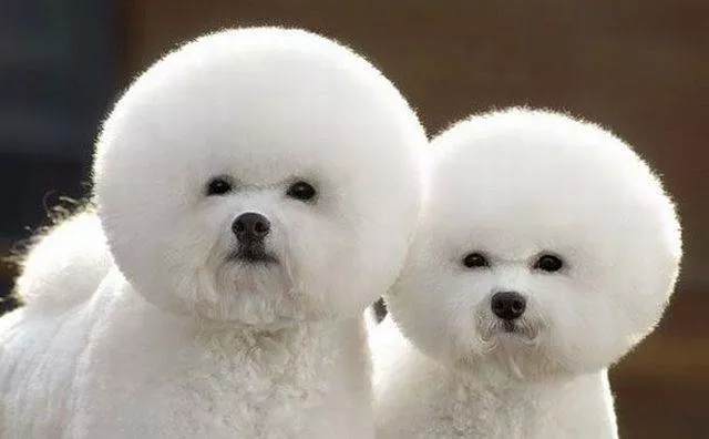 Picdump 88 - #30 