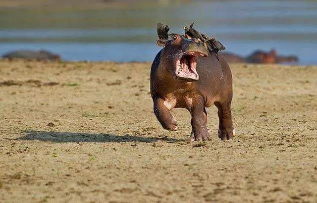 Picdump 88 - #61 
