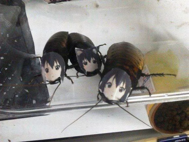 Picdump 88 - #62 