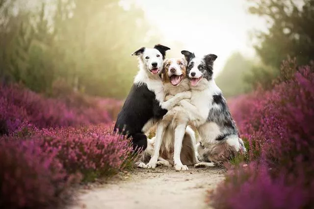 Picdump 88 - #9 