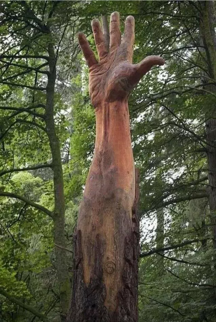 Picdump 516 - #49 