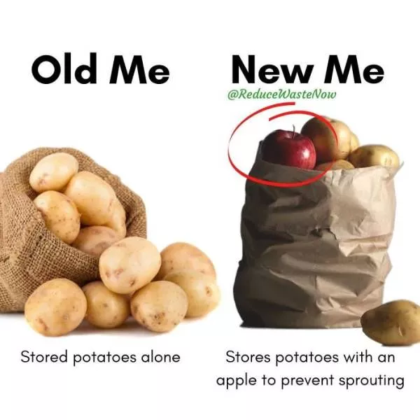 Old me vs new me - #3 