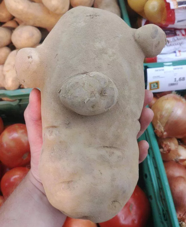 Une nature tres creative - #13 