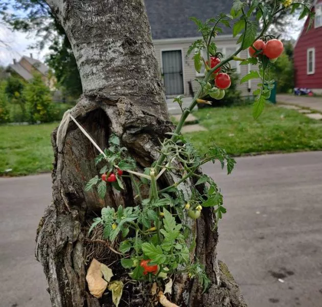A very creative nature - #16 