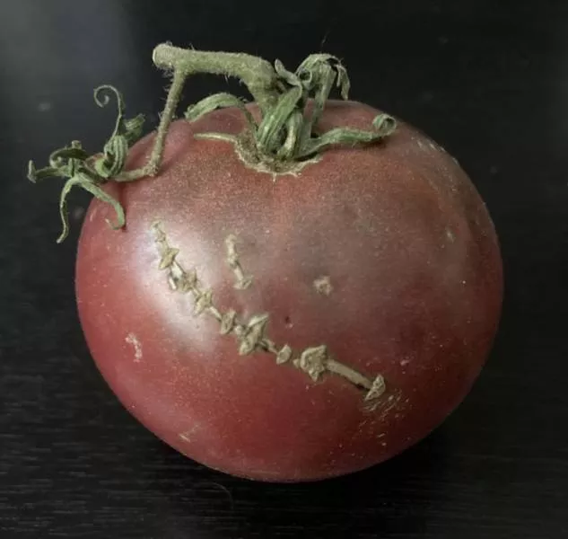 A very creative nature - #2 