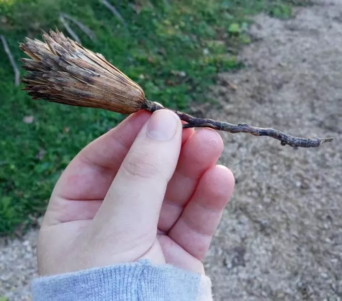 A very creative nature - #4 