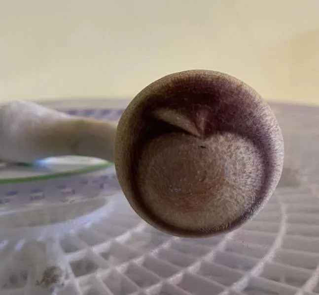 Une nature tres creative - #5 