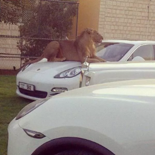 Picdump 10 - #33 