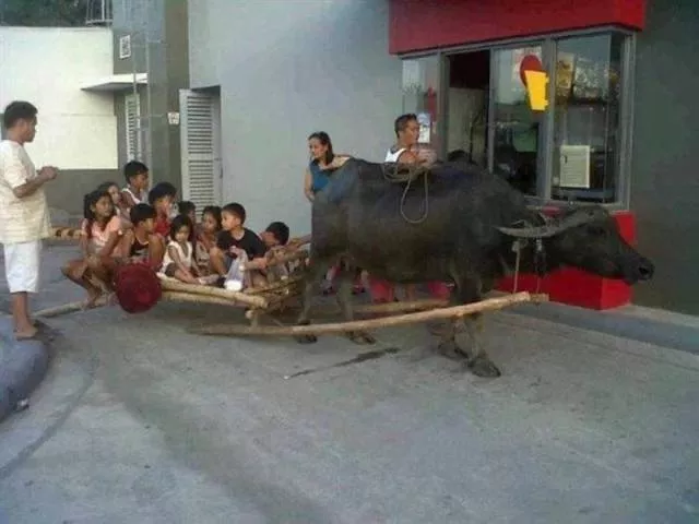 Picdump 10 - #36 