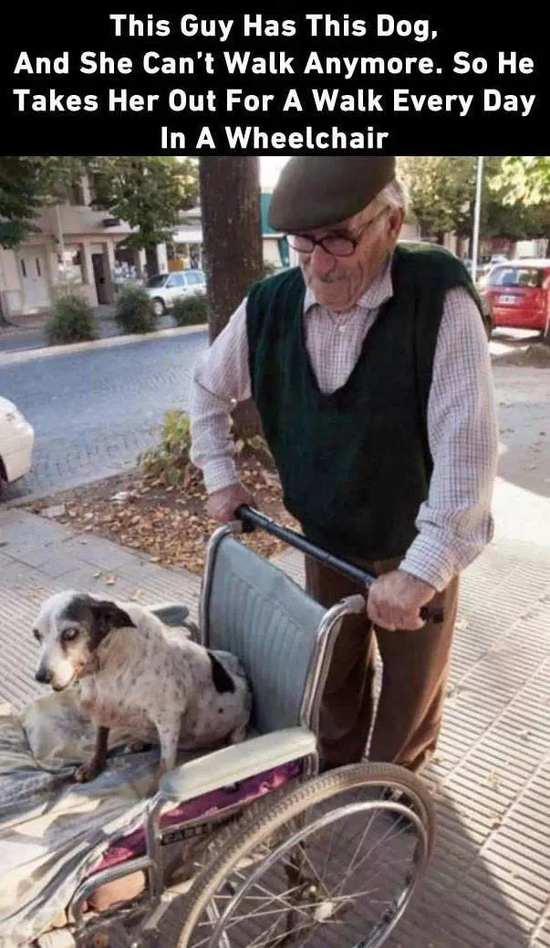 Picdump 10 - #40 