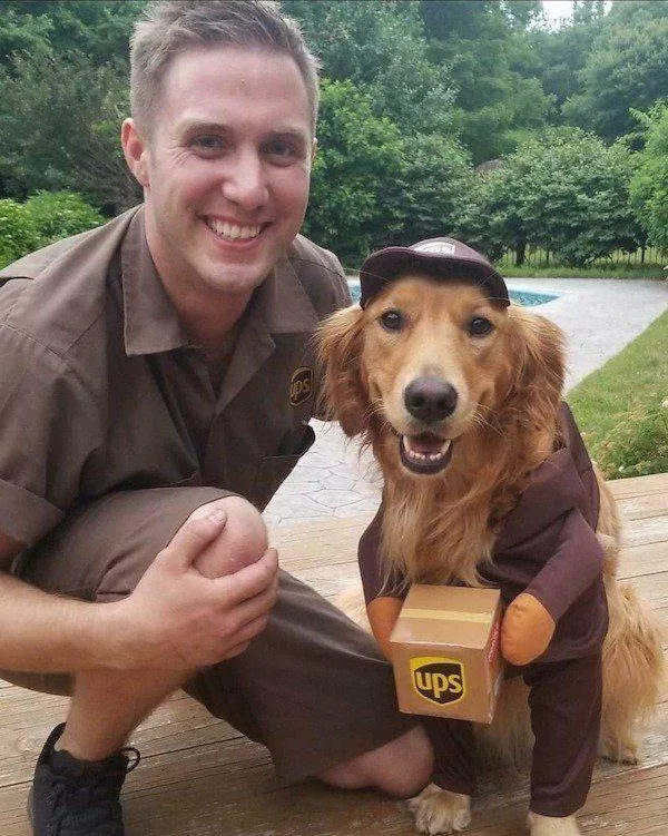 Picdump 517 - #19 