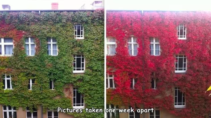 Picdump 517 - #2 